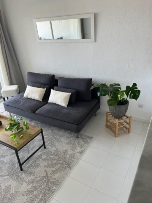 Rancho Miraflores Seaview Studio لا كالا ذي ميخاس المظهر الخارجي الصورة